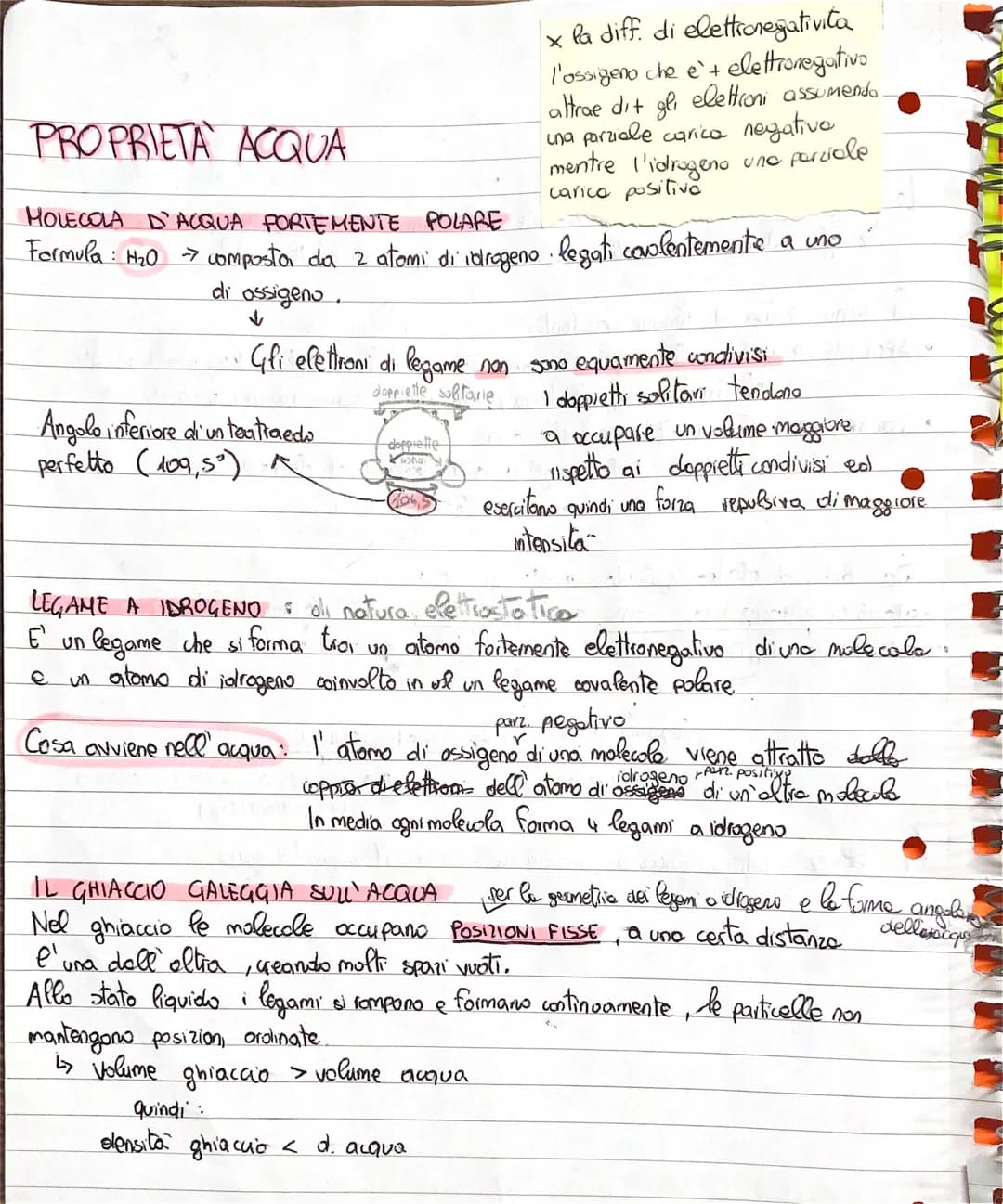 PROPRIETA ACQUA
HOLECOLA D'ACQUA PORTEMENTE POLARE
Formula: H₂0
→ composta da 2 atomi di idrogeno legati coulentemente a uno
di ossigeno.
Gl