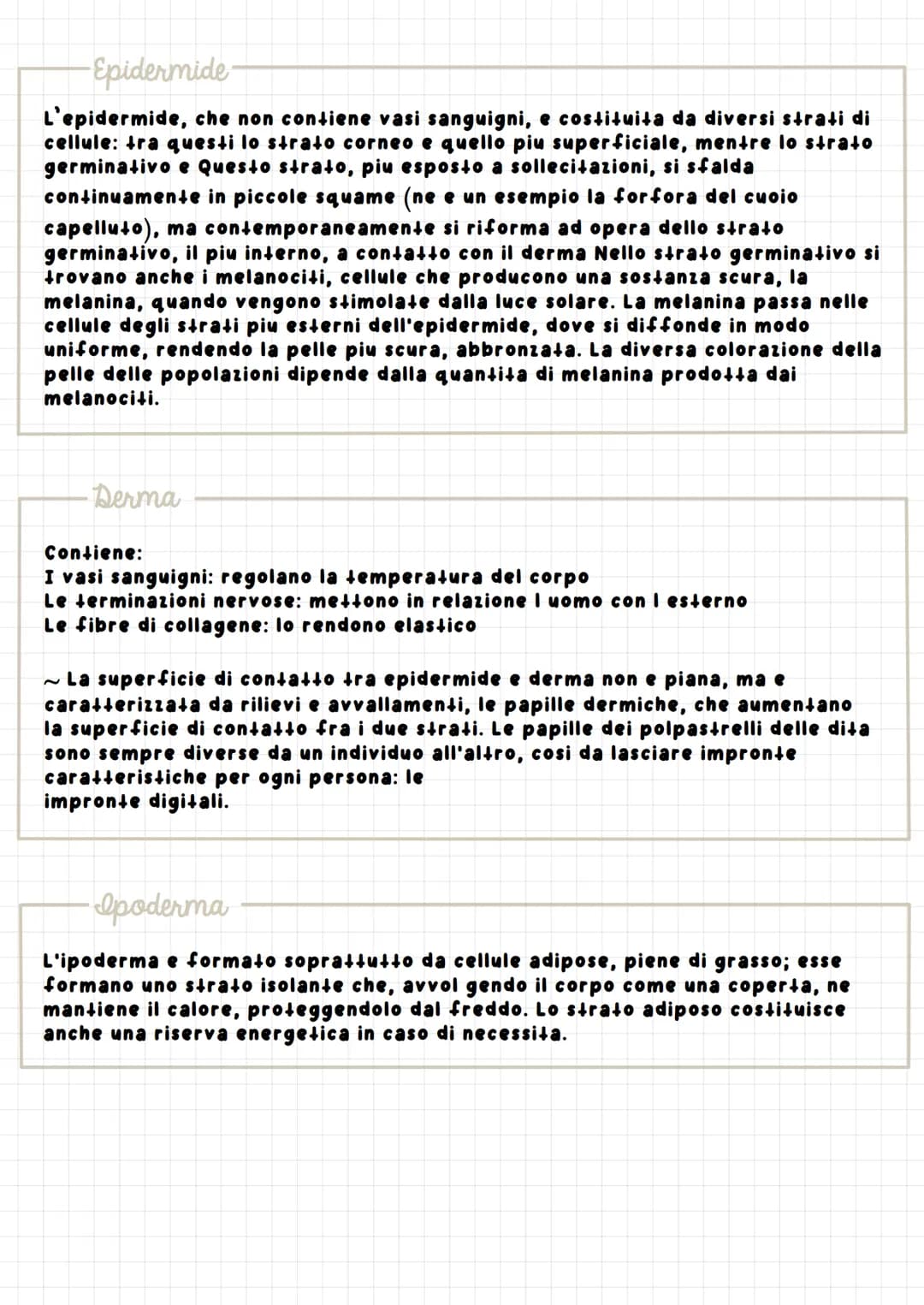 р
Apparats
L'apparato tegumentario, che riveste il nostro corpo, regola gli scambi
con l'ambiente esterno: e costituito dalla pelle (o cute)