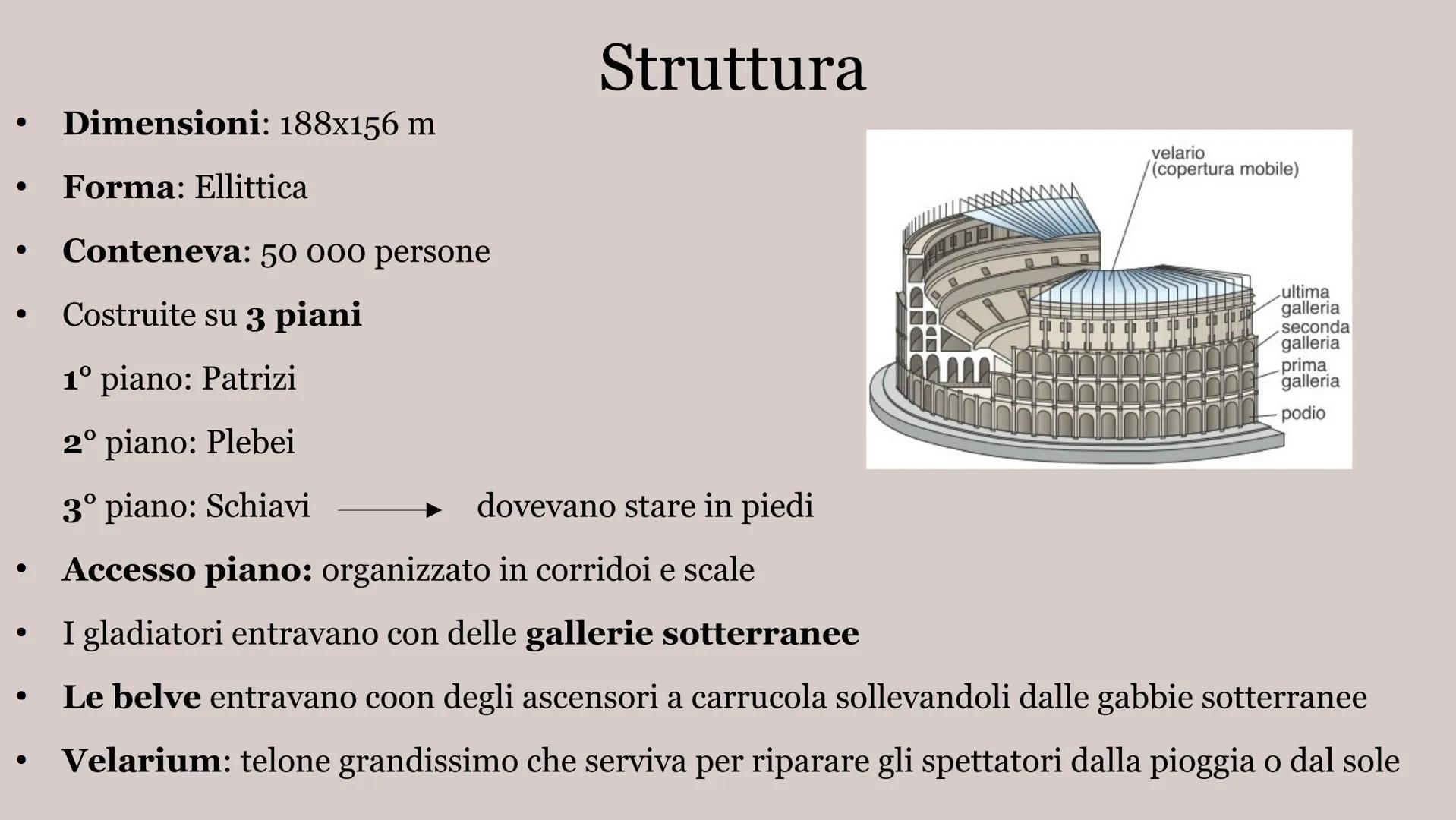 IL COLOSSEO ●
Dimensioni: 188x156 m
Forma: Ellittica
Conteneva: 50 000 persone
Costruite su 3 piani
1º piano: Patrizi
2° piano: Plebei
3° pi