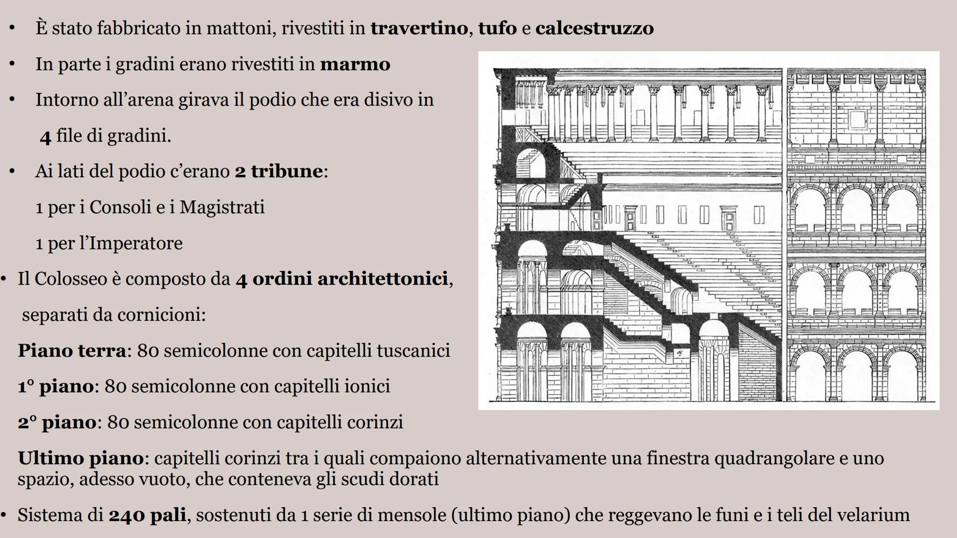 IL COLOSSEO ●
Dimensioni: 188x156 m
Forma: Ellittica
Conteneva: 50 000 persone
Costruite su 3 piani
1º piano: Patrizi
2° piano: Plebei
3° pi