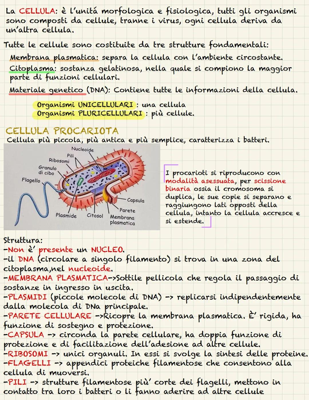# La CELLULA: è l'unitá morfologica e fisiologica, tutti gli organismi
sono composti da cellule, tranne i virus, ogni cellula deriva da
un'a