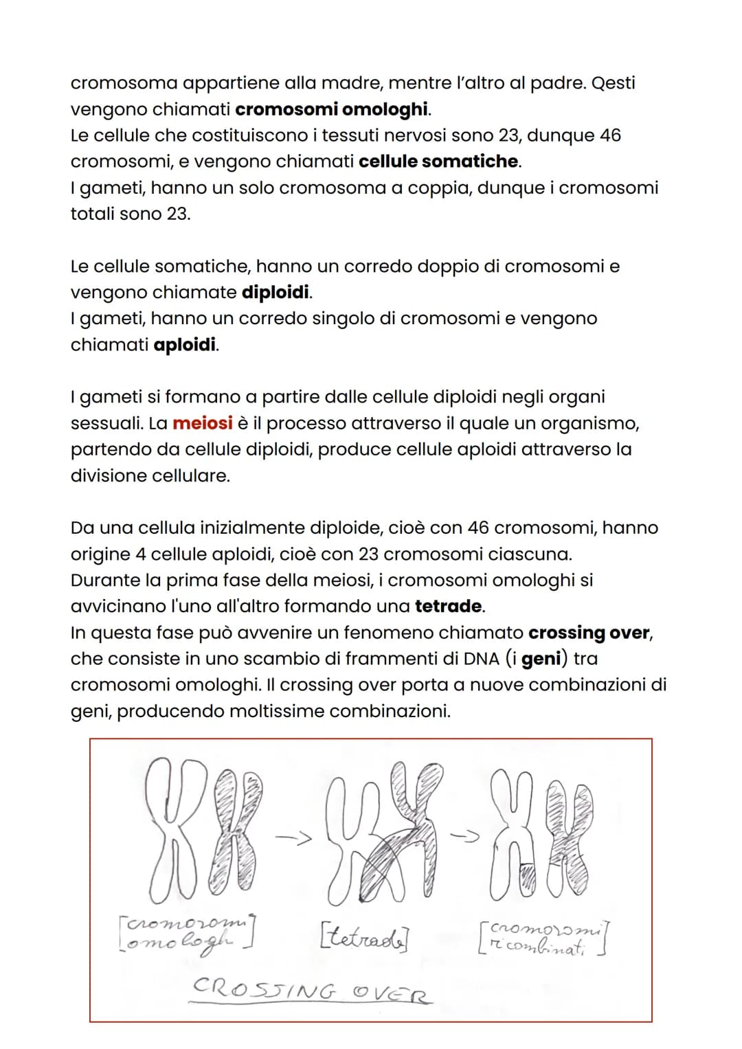 La riproduzione umana
La riproduzione umana avviene attraverso l'unione di un ovulo e uno
spermatozoo, formando un embrione che si sviluppa 