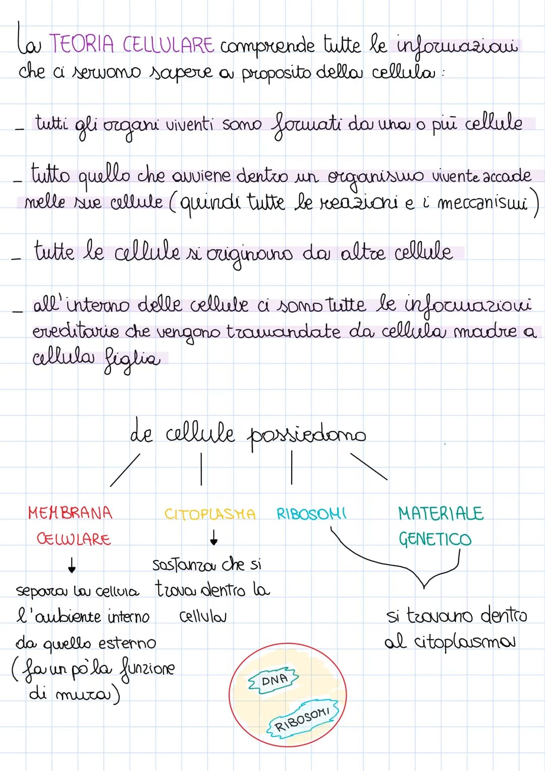 La CELLULA è la più piccola unita di un essere vivente in
grado di funzionare in modo autonomo
È stata scoperta nel 18° secolo dou ROOBERT H