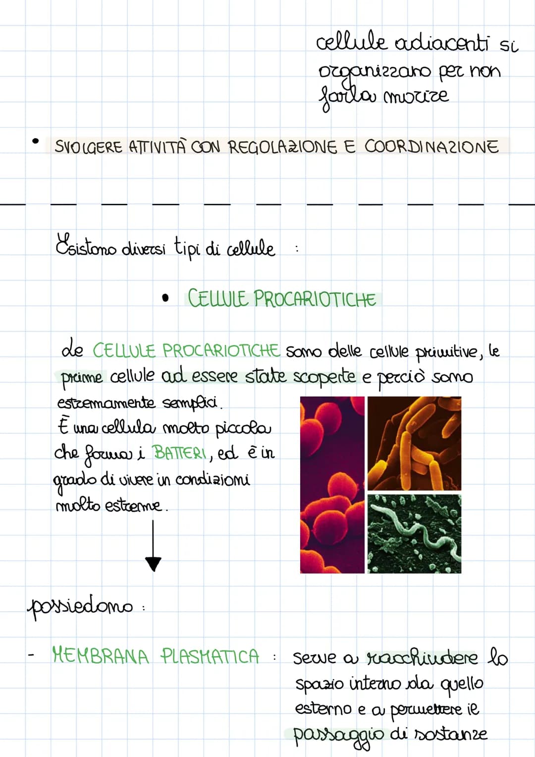 La CELLULA è la più piccola unita di un essere vivente in
grado di funzionare in modo autonomo
È stata scoperta nel 18° secolo dou ROOBERT H