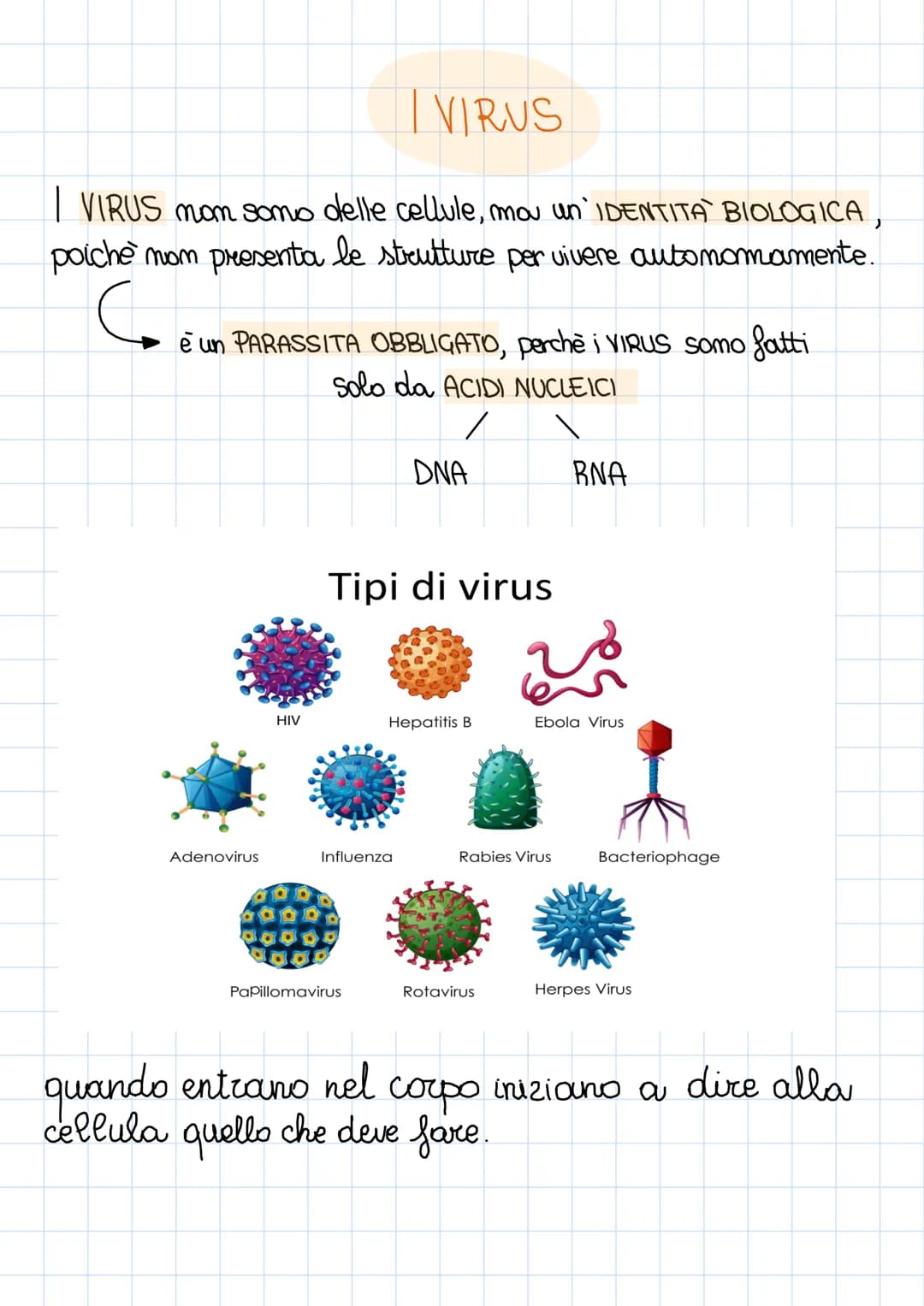 La CELLULA è la più piccola unita di un essere vivente in
grado di funzionare in modo autonomo
È stata scoperta nel 18° secolo dou ROOBERT H