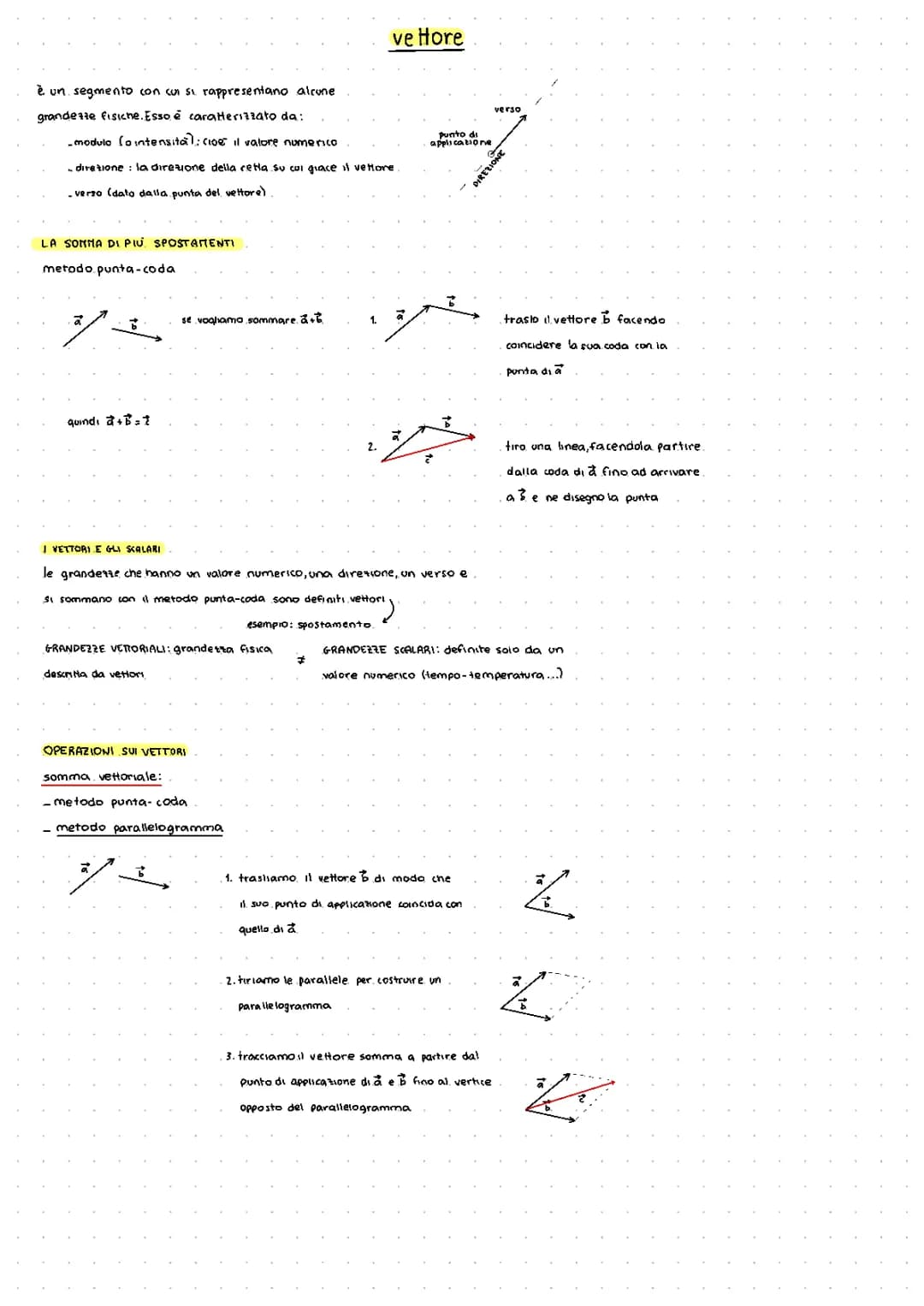 I VETTORI - FISICA