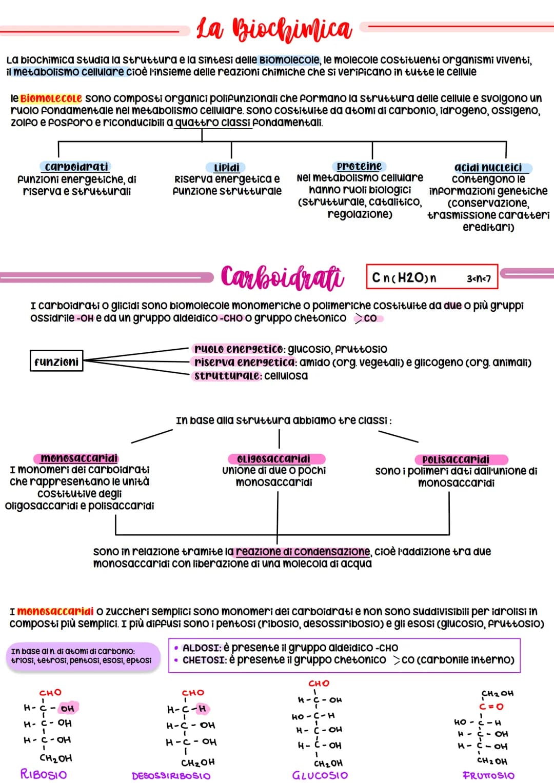 La Biochimica
La biochimica studia la struttura e la sintesi delle Biomolecole, le molecole costituenti organismi viventi,
il metabolismo ce