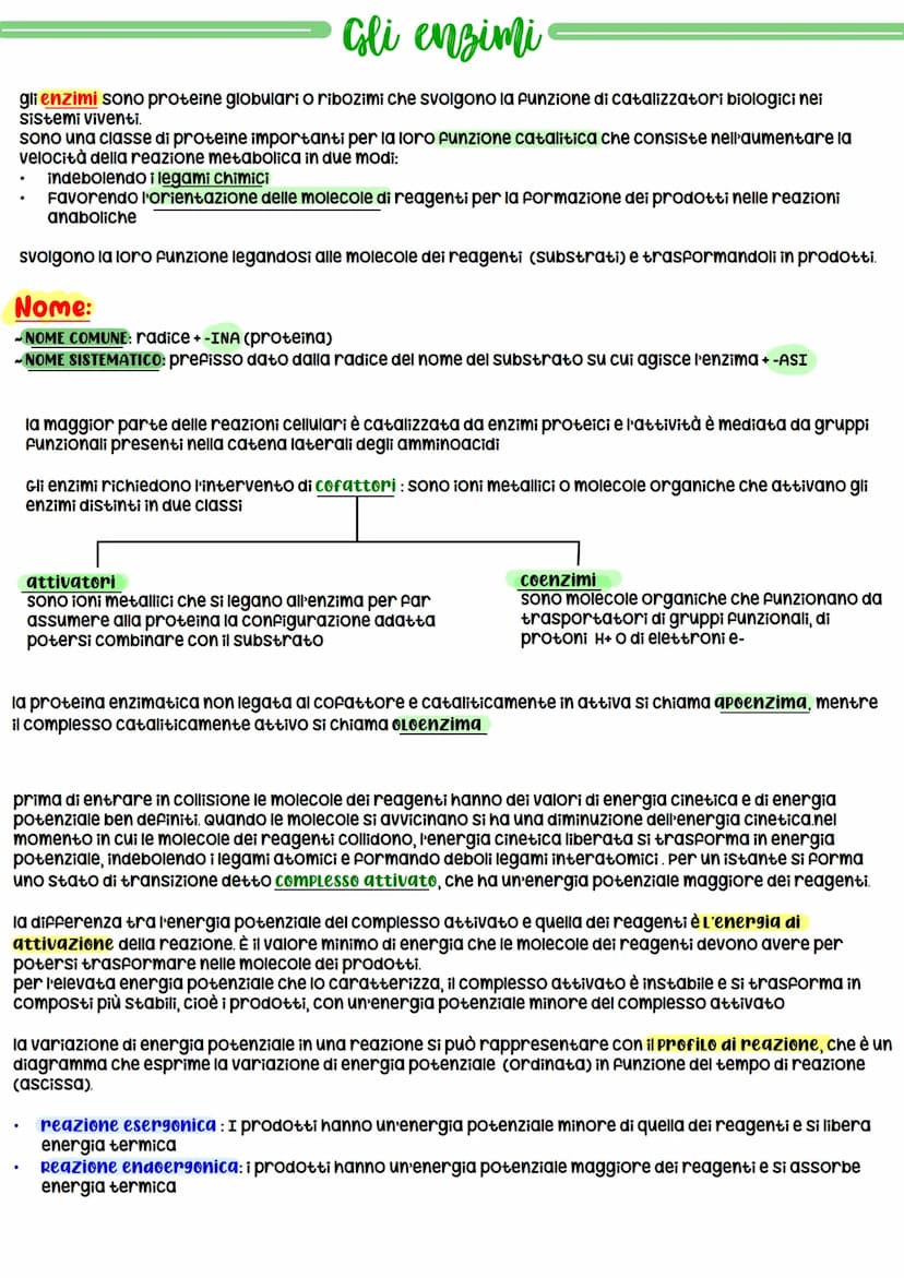 La Biochimica
La biochimica studia la struttura e la sintesi delle Biomolecole, le molecole costituenti organismi viventi,
il metabolismo ce