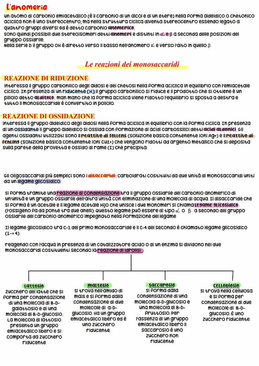 La Biochimica
La biochimica studia la struttura e la sintesi delle Biomolecole, le molecole costituenti organismi viventi,
il metabolismo ce