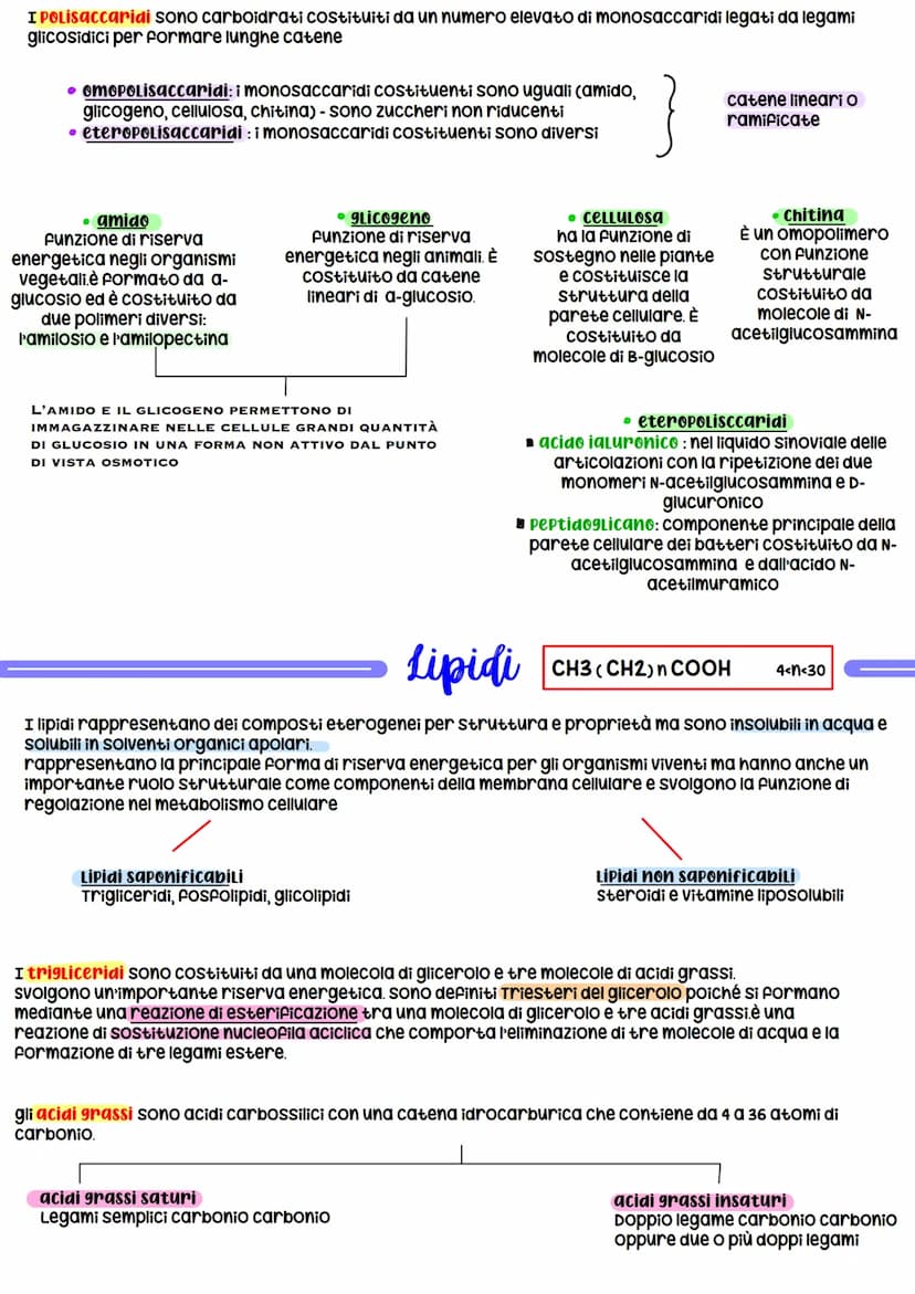 La Biochimica
La biochimica studia la struttura e la sintesi delle Biomolecole, le molecole costituenti organismi viventi,
il metabolismo ce
