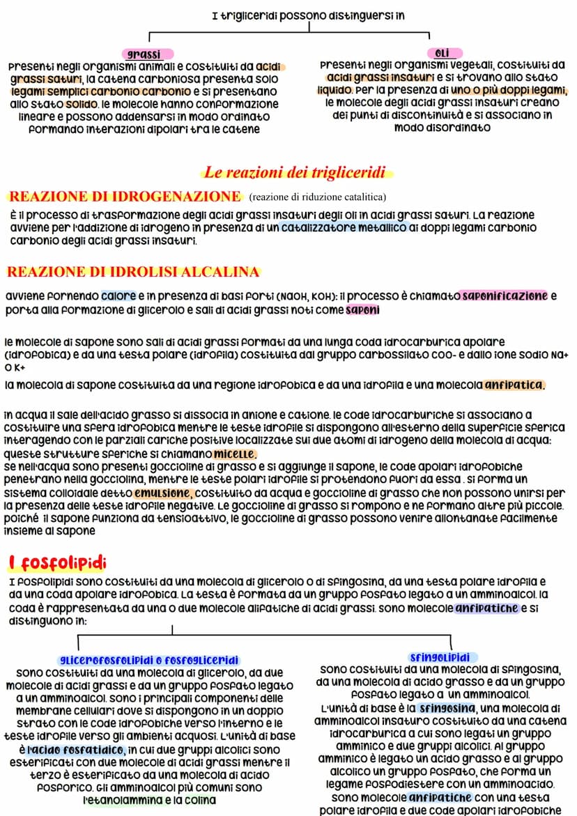 La Biochimica
La biochimica studia la struttura e la sintesi delle Biomolecole, le molecole costituenti organismi viventi,
il metabolismo ce
