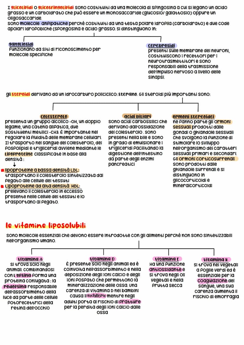 La Biochimica
La biochimica studia la struttura e la sintesi delle Biomolecole, le molecole costituenti organismi viventi,
il metabolismo ce