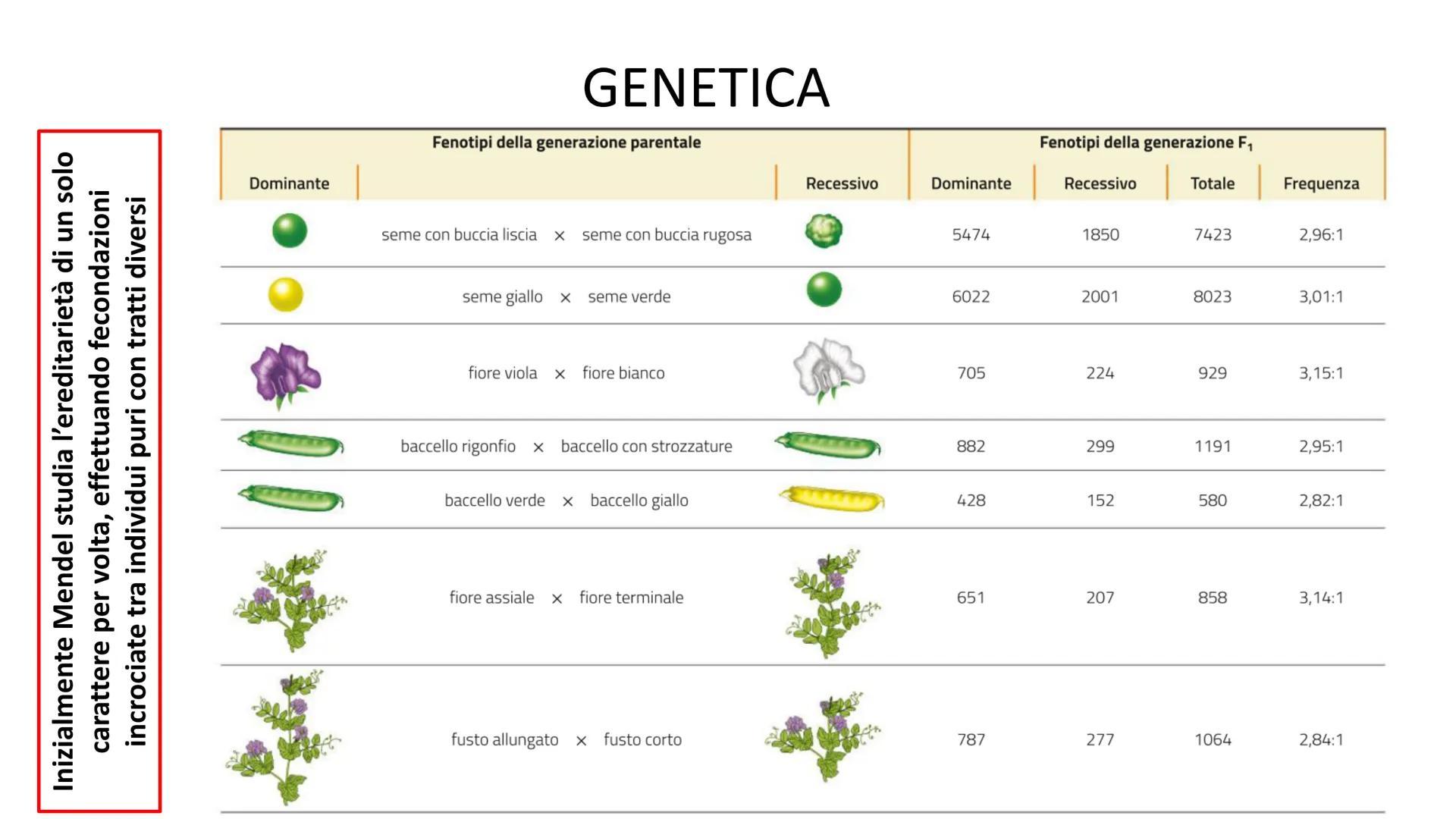 Lecambé oferecatonl
10101010 000IDIOL
101 0110101010 10101 10101 0101010 11010 rototol oroto 1 01010101 01010101011
10101 01010101010 10101-