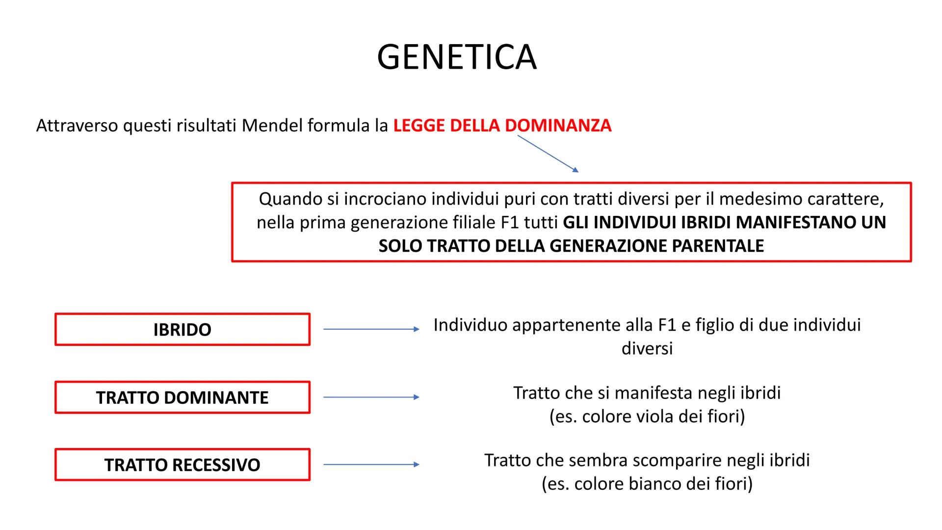 Lecambé oferecatonl
10101010 000IDIOL
101 0110101010 10101 10101 0101010 11010 rototol oroto 1 01010101 01010101011
10101 01010101010 10101-