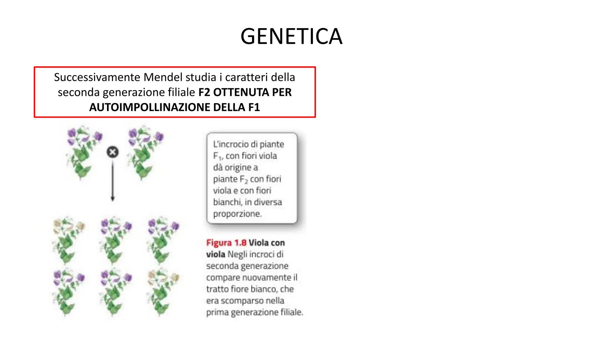 Lecambé oferecatonl
10101010 000IDIOL
101 0110101010 10101 10101 0101010 11010 rototol oroto 1 01010101 01010101011
10101 01010101010 10101-