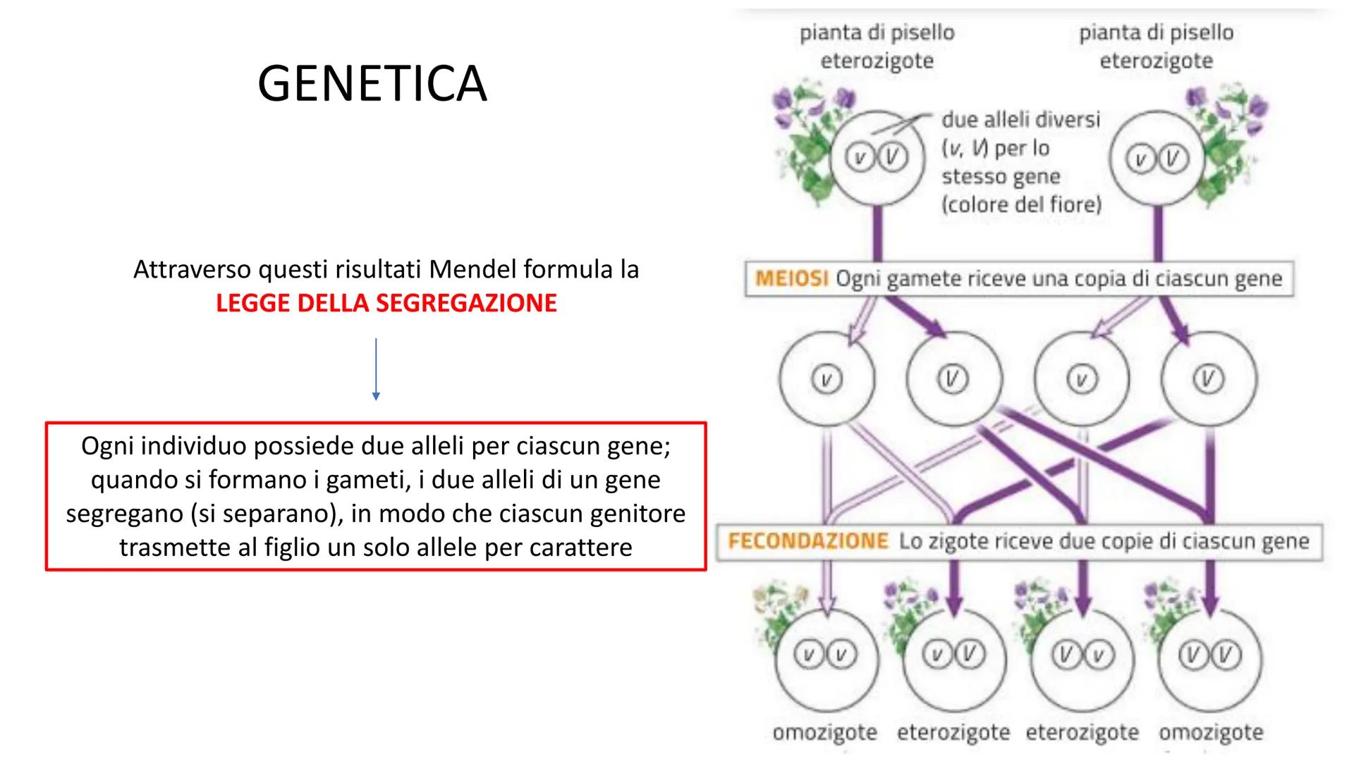 Lecambé oferecatonl
10101010 000IDIOL
101 0110101010 10101 10101 0101010 11010 rototol oroto 1 01010101 01010101011
10101 01010101010 10101-