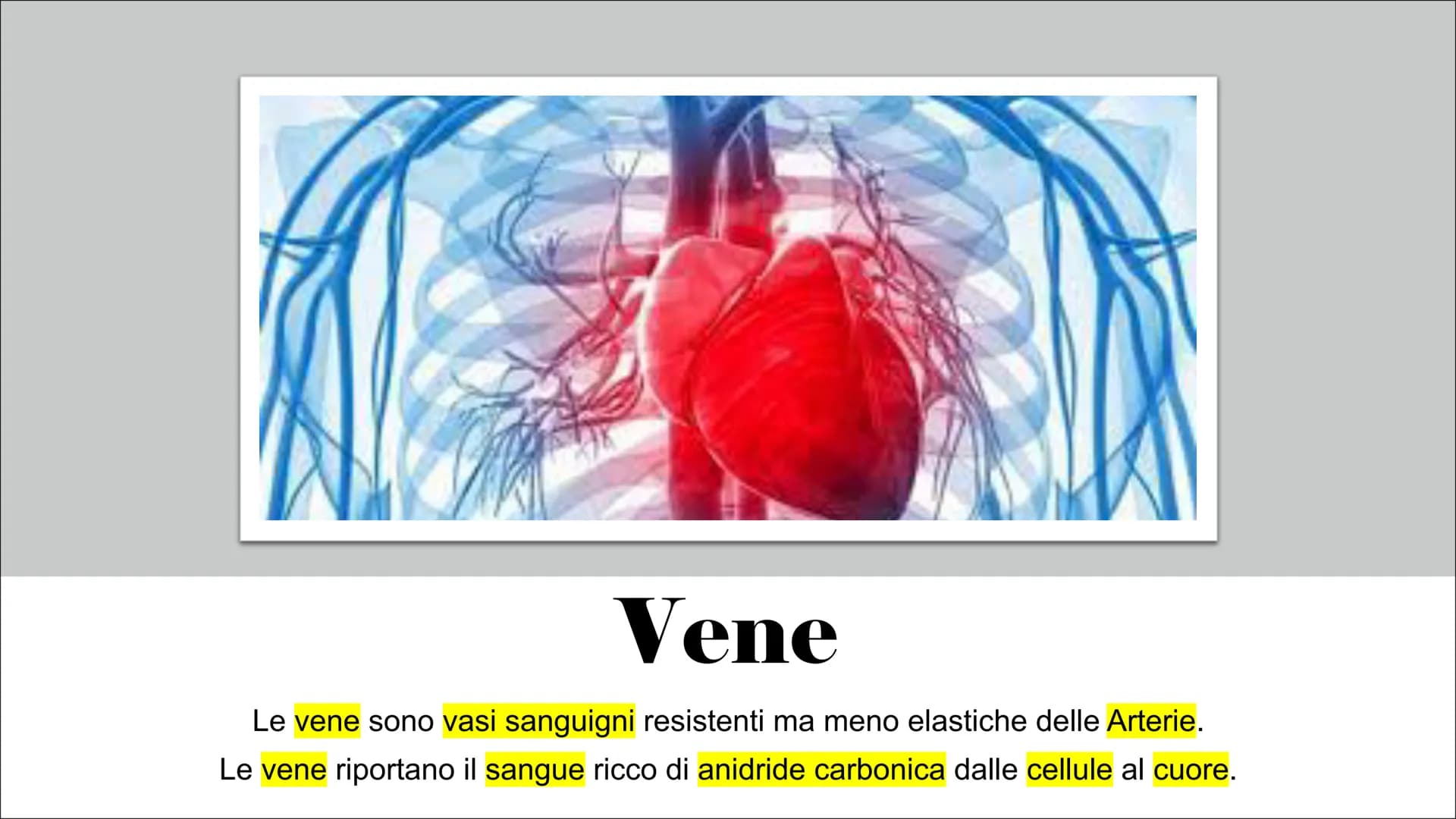 L'Apparato
Cardiocircolatorio Organi
Cuore, vene, arterie e capillari Cuore
Il cuore è un muscolo involontario che si trova all'interno
del 