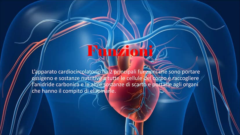 L'Apparato
Cardiocircolatorio Organi
Cuore, vene, arterie e capillari Cuore
Il cuore è un muscolo involontario che si trova all'interno
del 