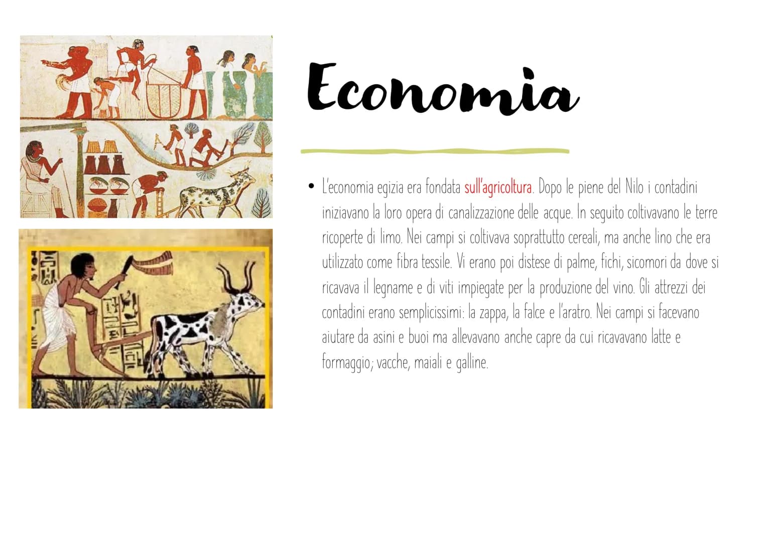 Scopri l'Organizzazione Sociale e l'Economia dell'Antico Egitto