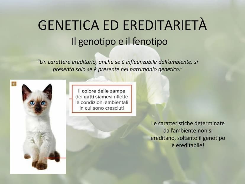 GENETICA ED EREDITARIETÀ
Le leggi di Mendel
In che modo avviene la trasmissione dei caratteri (o ereditarietà)?
A lungo si è pensato che un 