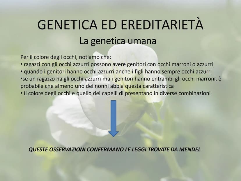 GENETICA ED EREDITARIETÀ
Le leggi di Mendel
In che modo avviene la trasmissione dei caratteri (o ereditarietà)?
A lungo si è pensato che un 