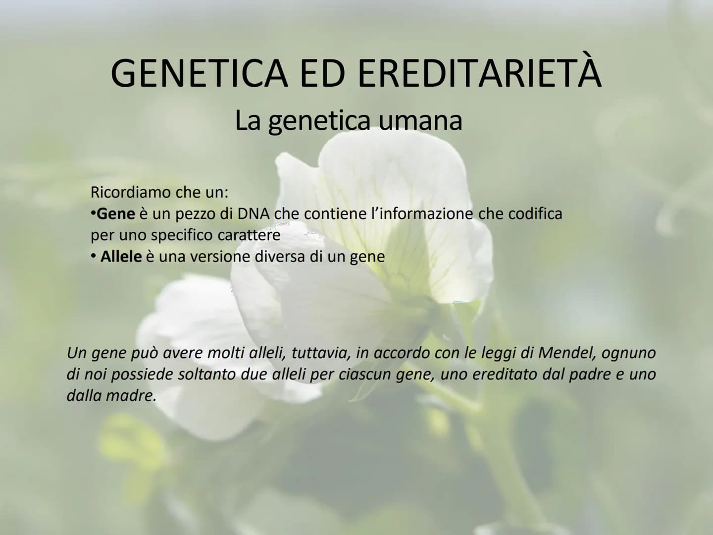 GENETICA ED EREDITARIETÀ
Le leggi di Mendel
In che modo avviene la trasmissione dei caratteri (o ereditarietà)?
A lungo si è pensato che un 