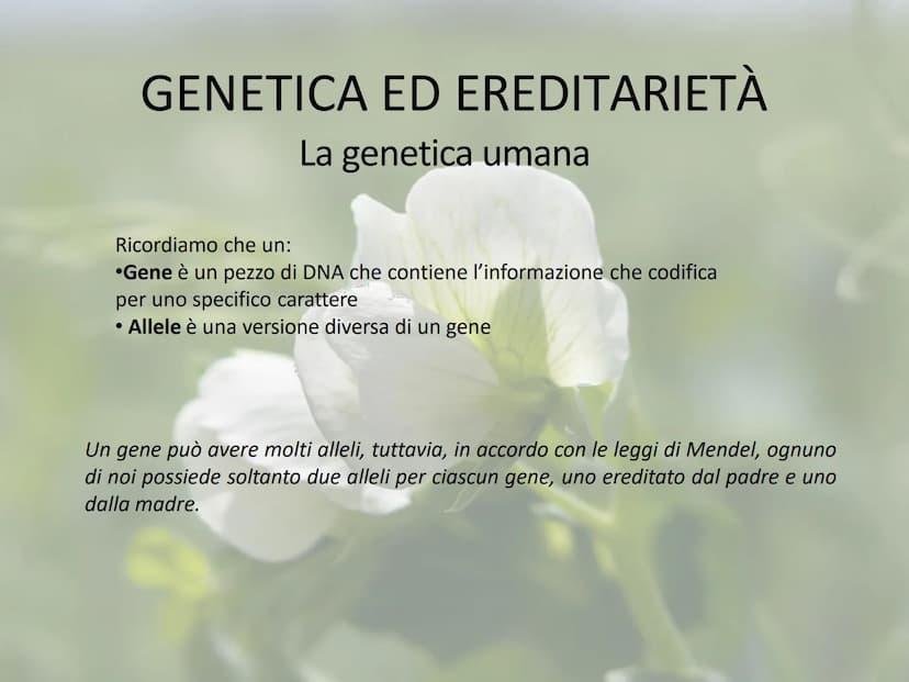 GENETICA ED EREDITARIETÀ
Le leggi di Mendel
In che modo avviene la trasmissione dei caratteri (o ereditarietà)?
A lungo si è pensato che un 