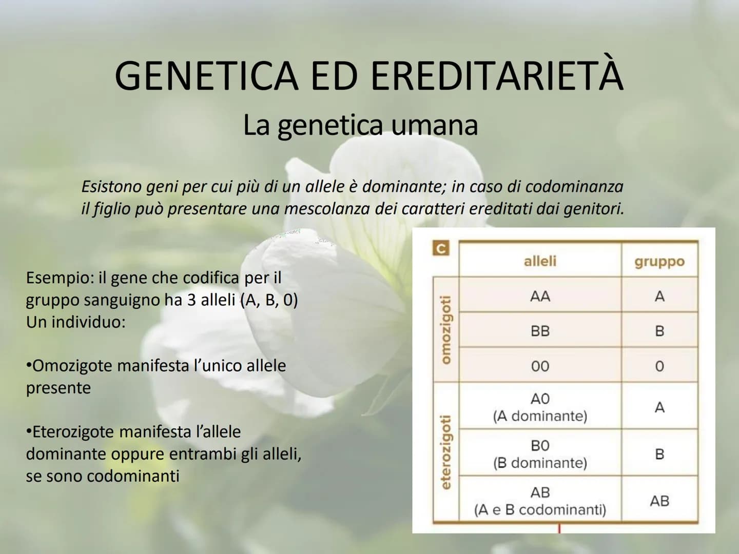 GENETICA ED EREDITARIETÀ
Le leggi di Mendel
In che modo avviene la trasmissione dei caratteri (o ereditarietà)?
A lungo si è pensato che un 