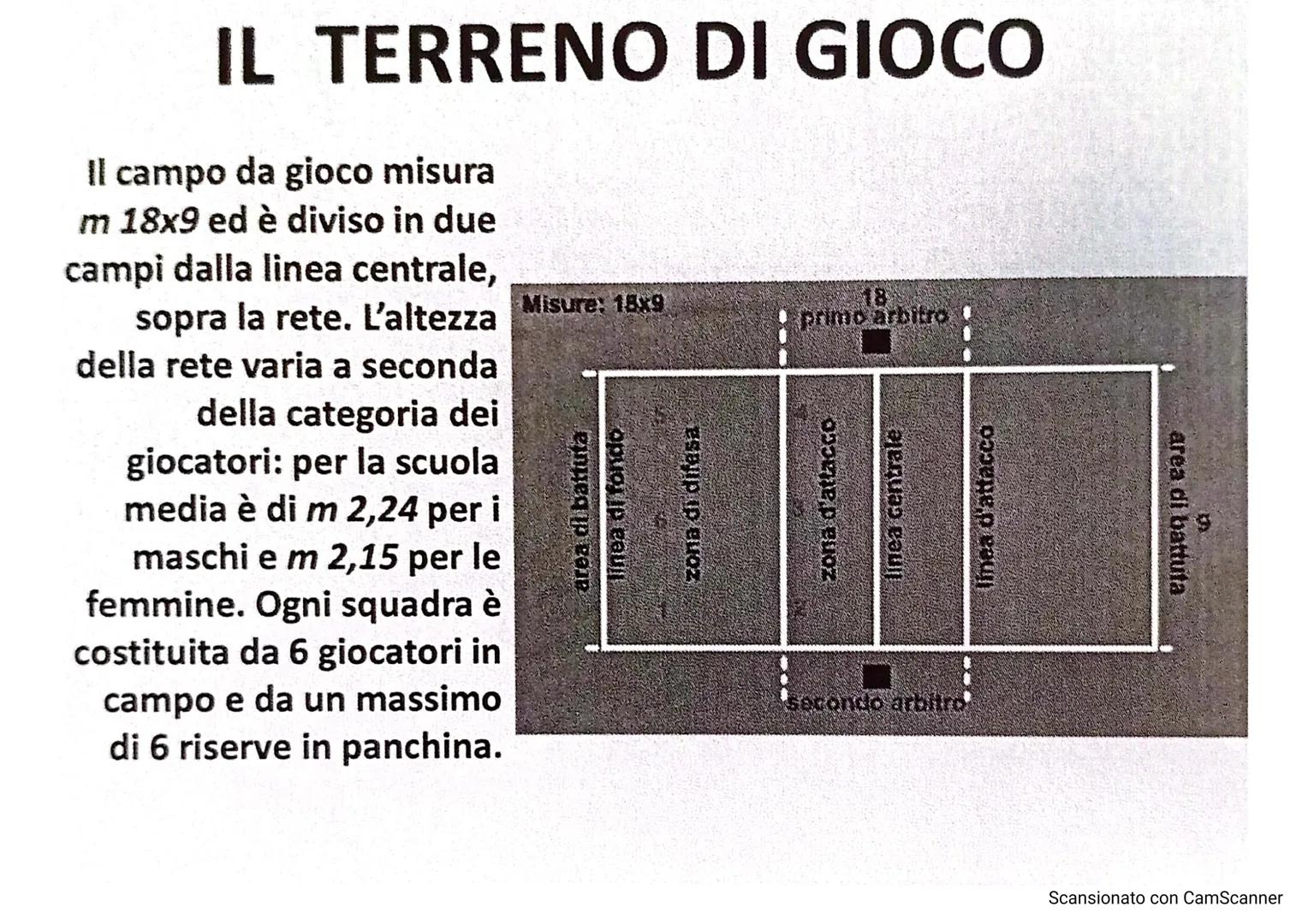 # LA PALLAVOLO

LARSON
10

13

Scansionato con CamScanner La pallavolo è uno sport nato negli Stati Uniti nel
1895, grazie a WILLIAM MORGAN,
