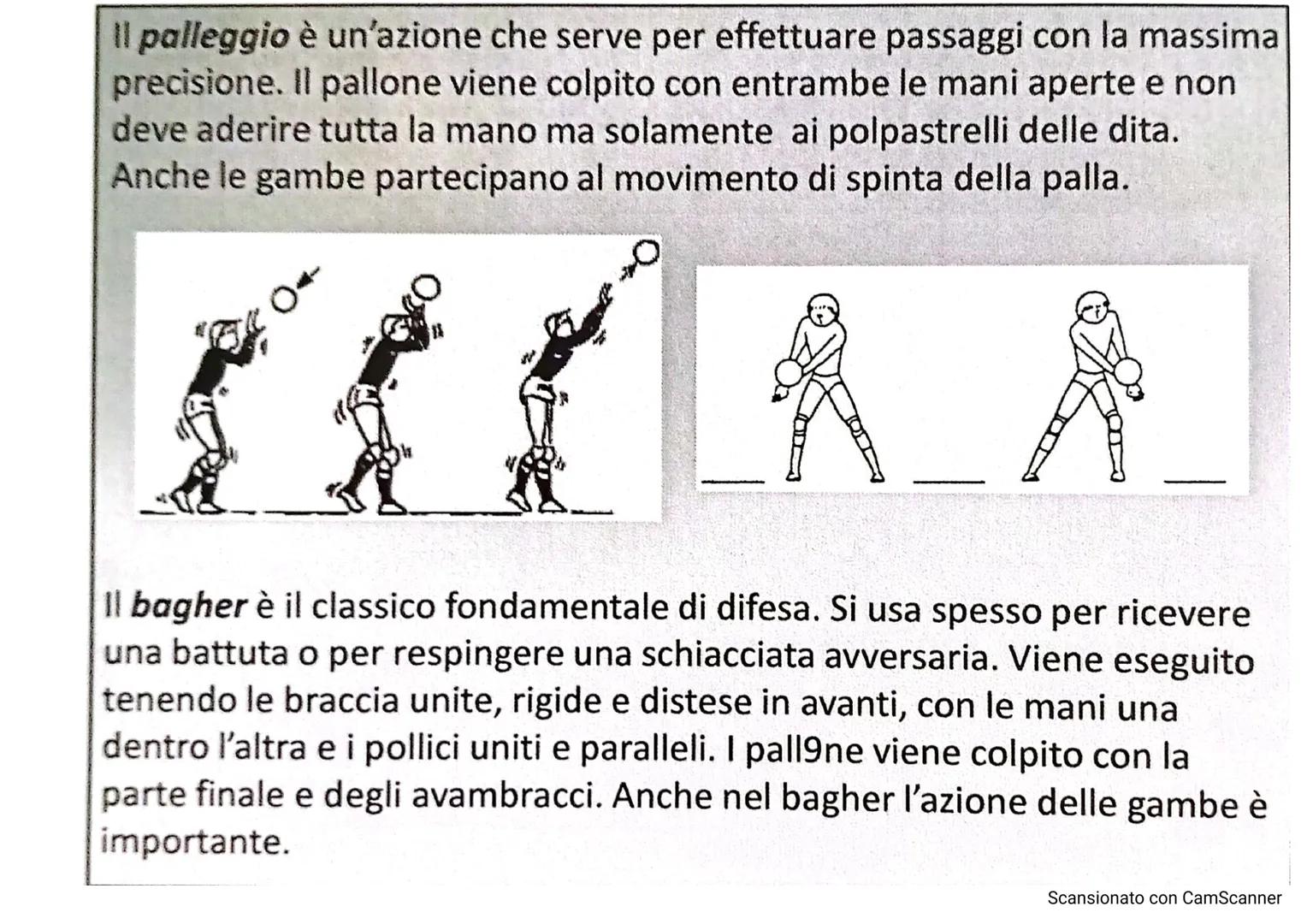 # LA PALLAVOLO

LARSON
10

13

Scansionato con CamScanner La pallavolo è uno sport nato negli Stati Uniti nel
1895, grazie a WILLIAM MORGAN,