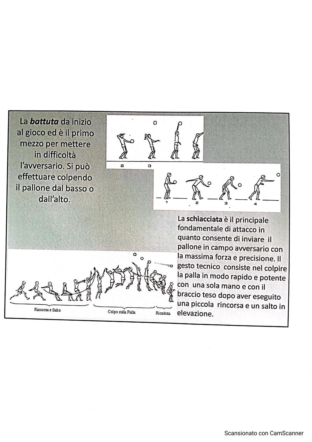 # LA PALLAVOLO

LARSON
10

13

Scansionato con CamScanner La pallavolo è uno sport nato negli Stati Uniti nel
1895, grazie a WILLIAM MORGAN,