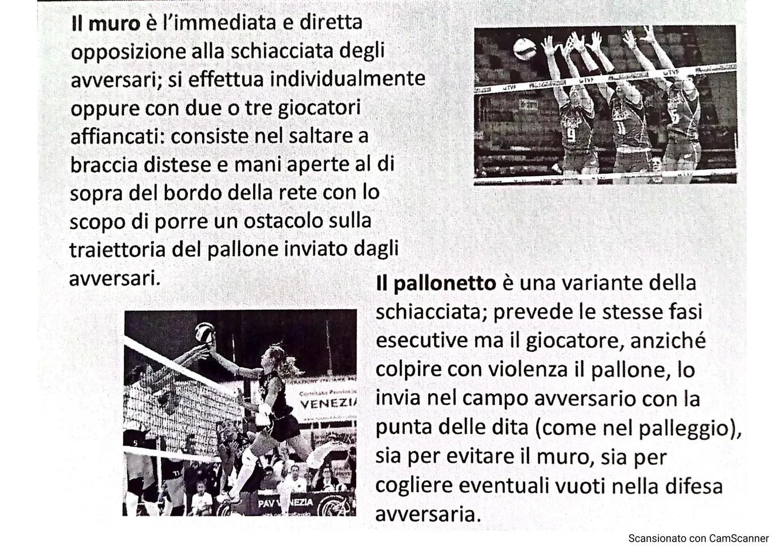 # LA PALLAVOLO

LARSON
10

13

Scansionato con CamScanner La pallavolo è uno sport nato negli Stati Uniti nel
1895, grazie a WILLIAM MORGAN,
