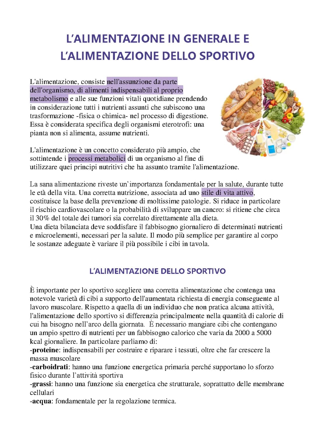 Alimentazione nello Sport: Guida Completa per una Dieta Perfetta