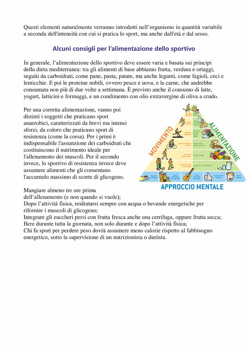
<p>L'alimentazione in generale e l'alimentazione dello sportivo sono argomenti di fondamentale importanza per la salute e il benessere di o