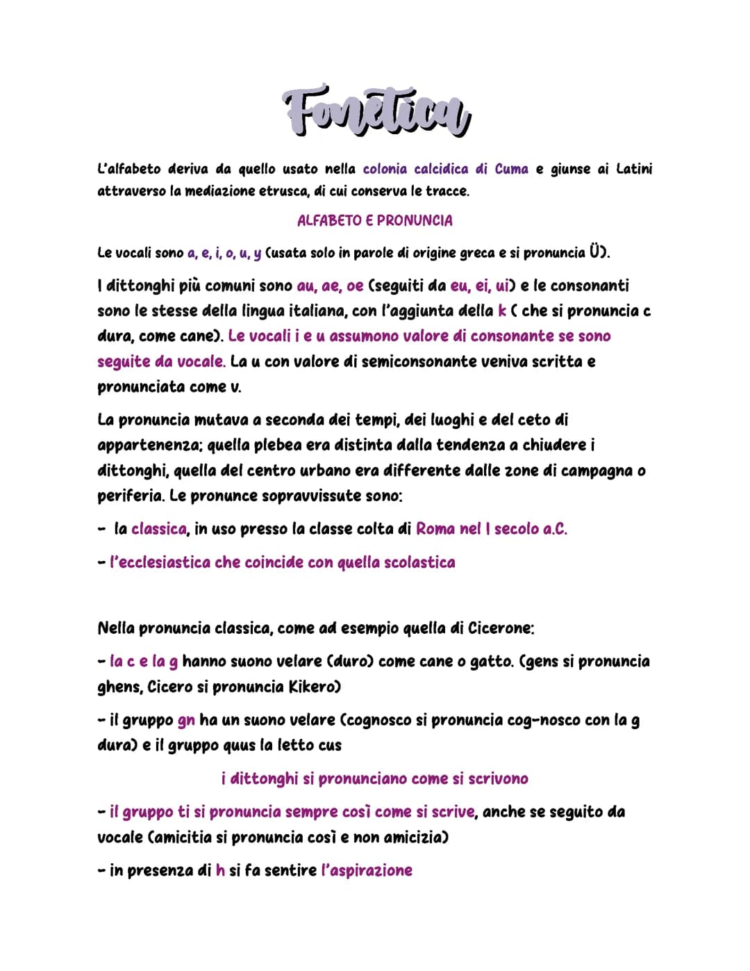 Le basi del Latino