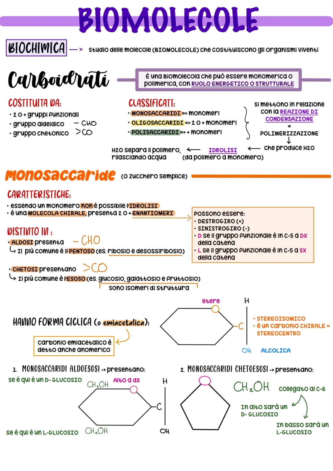 BIOCHIMICA
BIOMOLECOLE
-> studio delle molecole (BIOMOLECOLE) che costituiscono gli organismi viventi
Carboidrati
COSTITUITA DA:
• 20 + grup