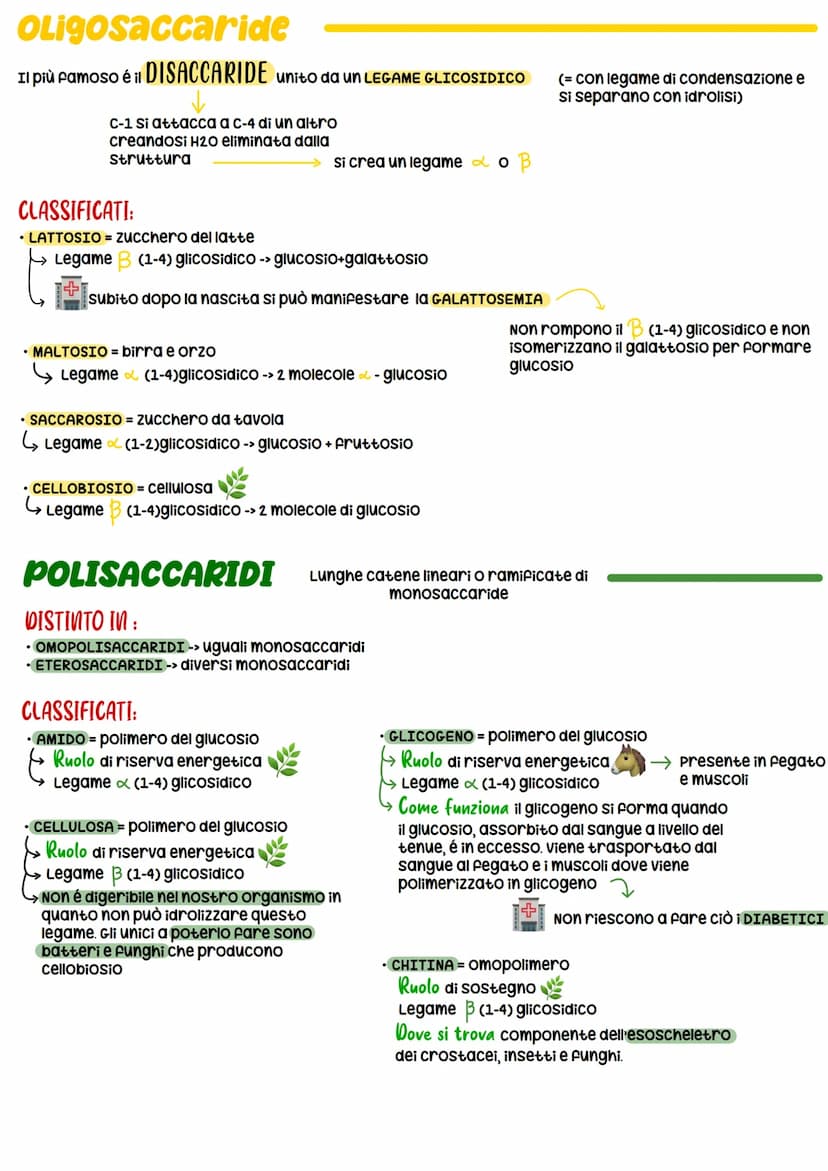 BIOCHIMICA
BIOMOLECOLE
-> studio delle molecole (BIOMOLECOLE) che costituiscono gli organismi viventi
Carboidrati
COSTITUITA DA:
• 20 + grup
