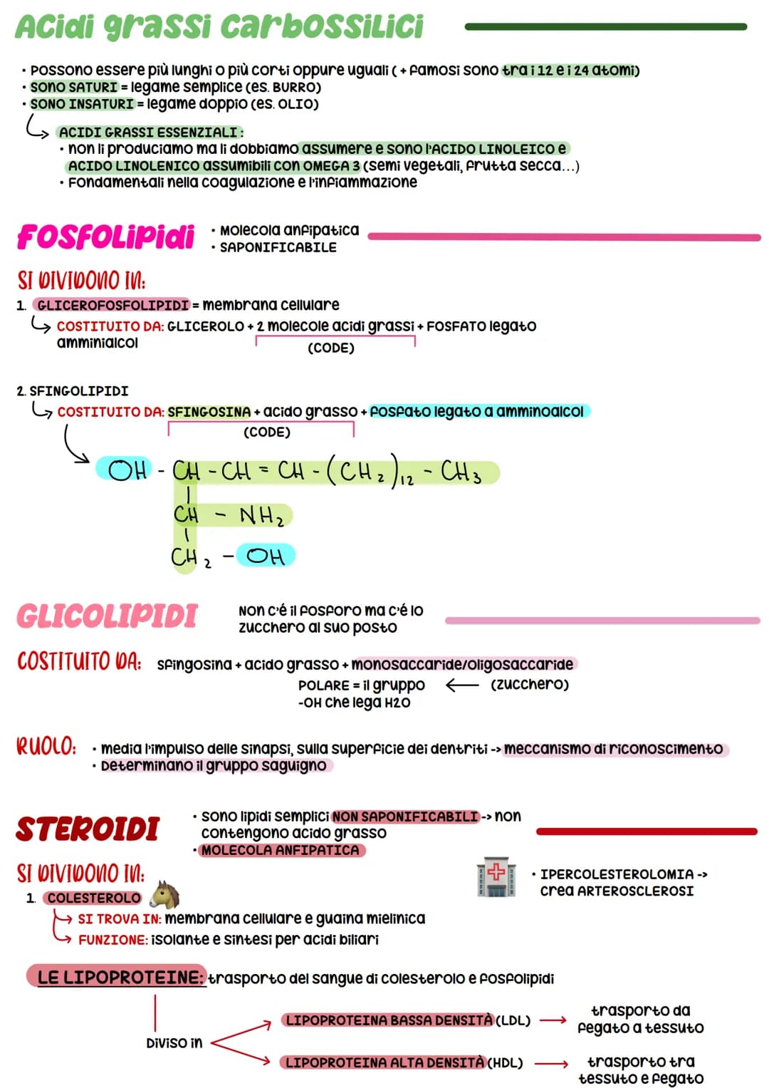 BIOCHIMICA
BIOMOLECOLE
-> studio delle molecole (BIOMOLECOLE) che costituiscono gli organismi viventi
Carboidrati
COSTITUITA DA:
• 20 + grup