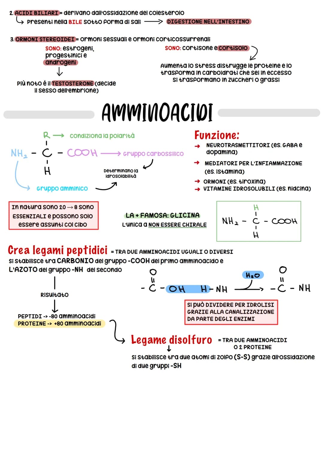 BIOCHIMICA
BIOMOLECOLE
-> studio delle molecole (BIOMOLECOLE) che costituiscono gli organismi viventi
Carboidrati
COSTITUITA DA:
• 20 + grup