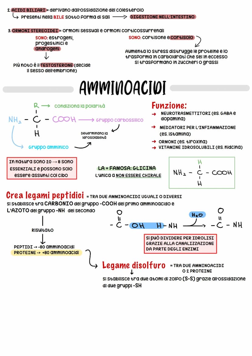 BIOCHIMICA
BIOMOLECOLE
-> studio delle molecole (BIOMOLECOLE) che costituiscono gli organismi viventi
Carboidrati
COSTITUITA DA:
• 20 + grup