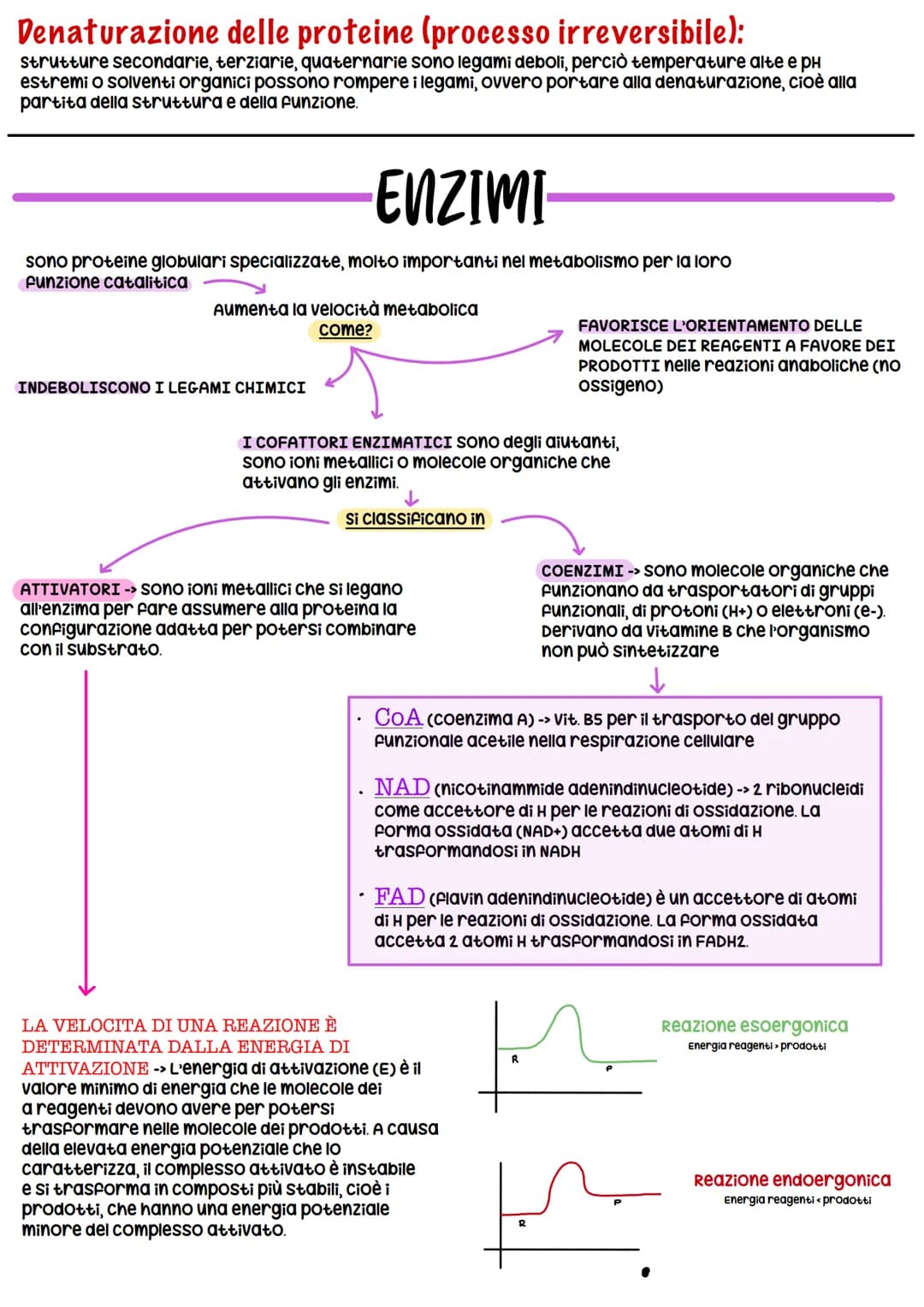 BIOCHIMICA
BIOMOLECOLE
-> studio delle molecole (BIOMOLECOLE) che costituiscono gli organismi viventi
Carboidrati
COSTITUITA DA:
• 20 + grup