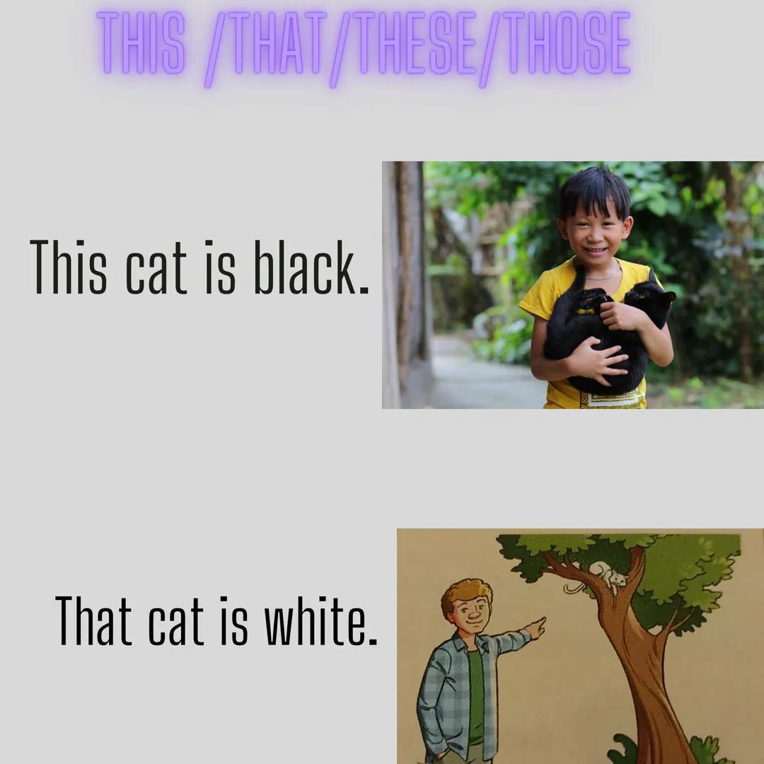 THIS/THAT/THESE/THOSE
This cat is black.
That cat is white. These birds are
blue.
Those birds
are blue. This =questo, questa
These questi, q
