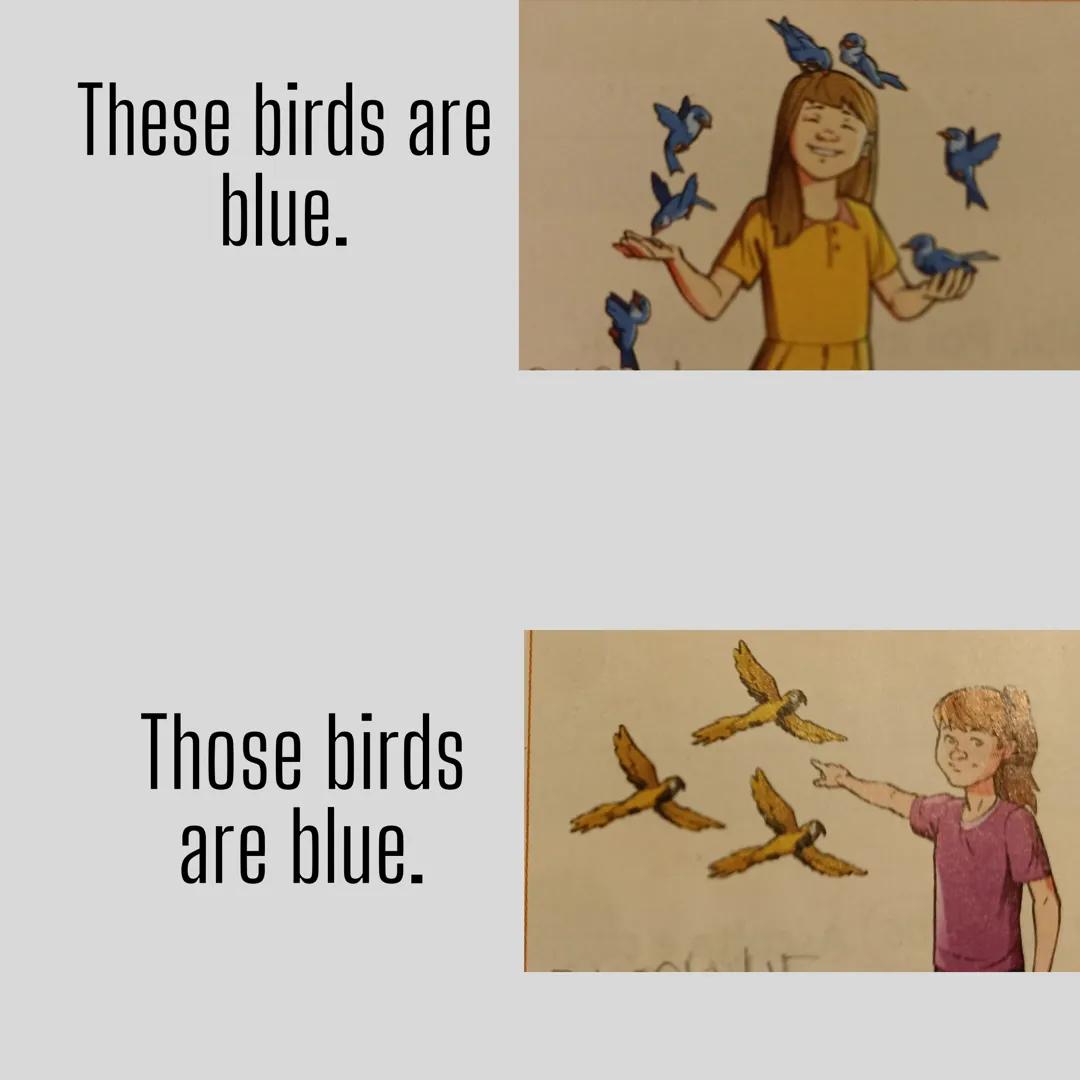 THIS/THAT/THESE/THOSE
This cat is black.
That cat is white. These birds are
blue.
Those birds
are blue. This =questo, questa
These questi, q