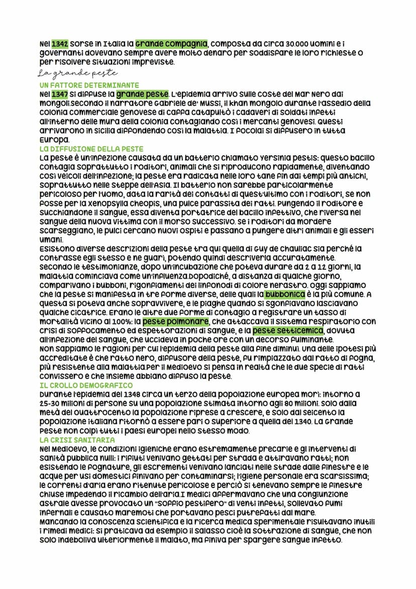 La crisi del trecento
I fattori della crisi
verso la fine del XIII secolo l'espansione economica, in tutto il continente, iniziò a
frenare e