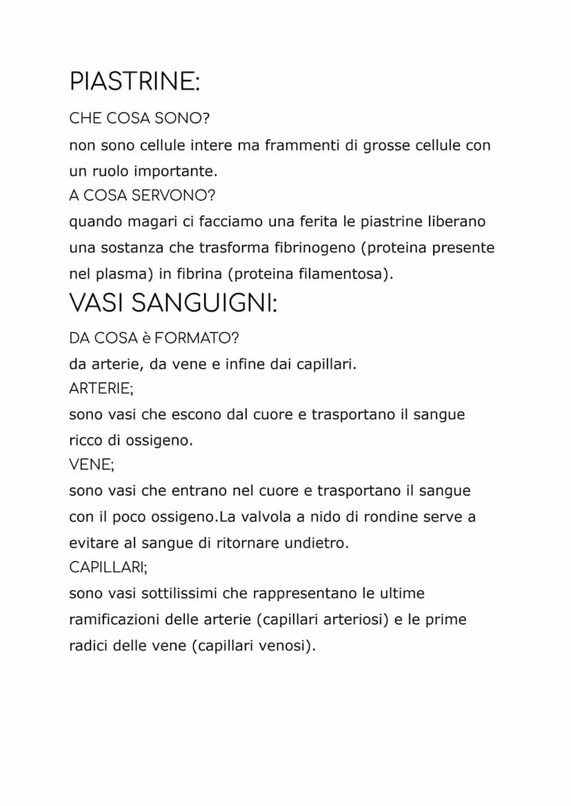 APPARATO
CARDIOCIRCOLATORIO.
COSE GENERALI:
al compito di trasporto provvede il sangue, un tessuto
connettivo fluido che circola nel nostro 