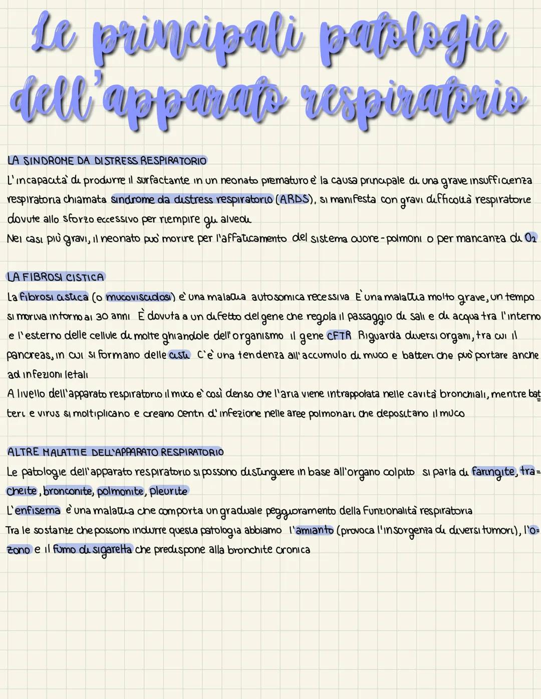 L'organizzazione
dell'apparats respiratoris
LA VENTILAZIONE E LO SCAMBIO DI GAS
La funzione dell'apparato respiratorio è rifornire l'organis