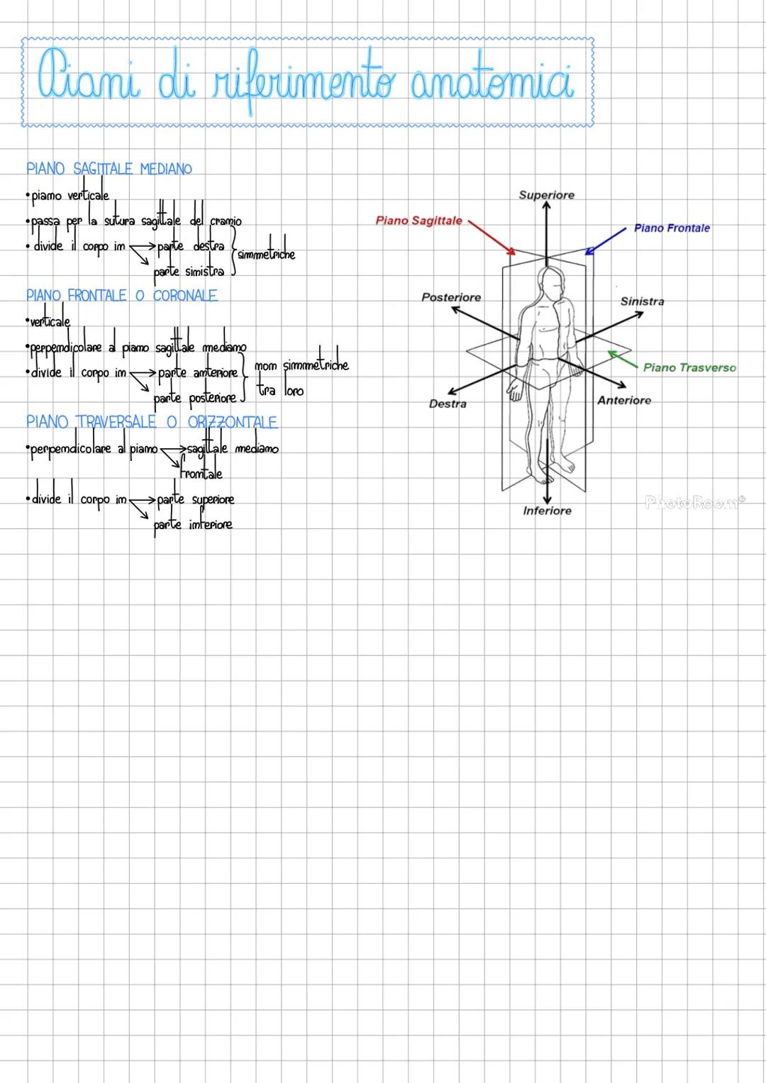 # I tessuti

ISTOLOGIA biologia che studia la struttura dei tessuti

# 4 GRUPPI DI TESSUTI
1. epiteliale
2.commettivo
3.muscolare
4. mervoso