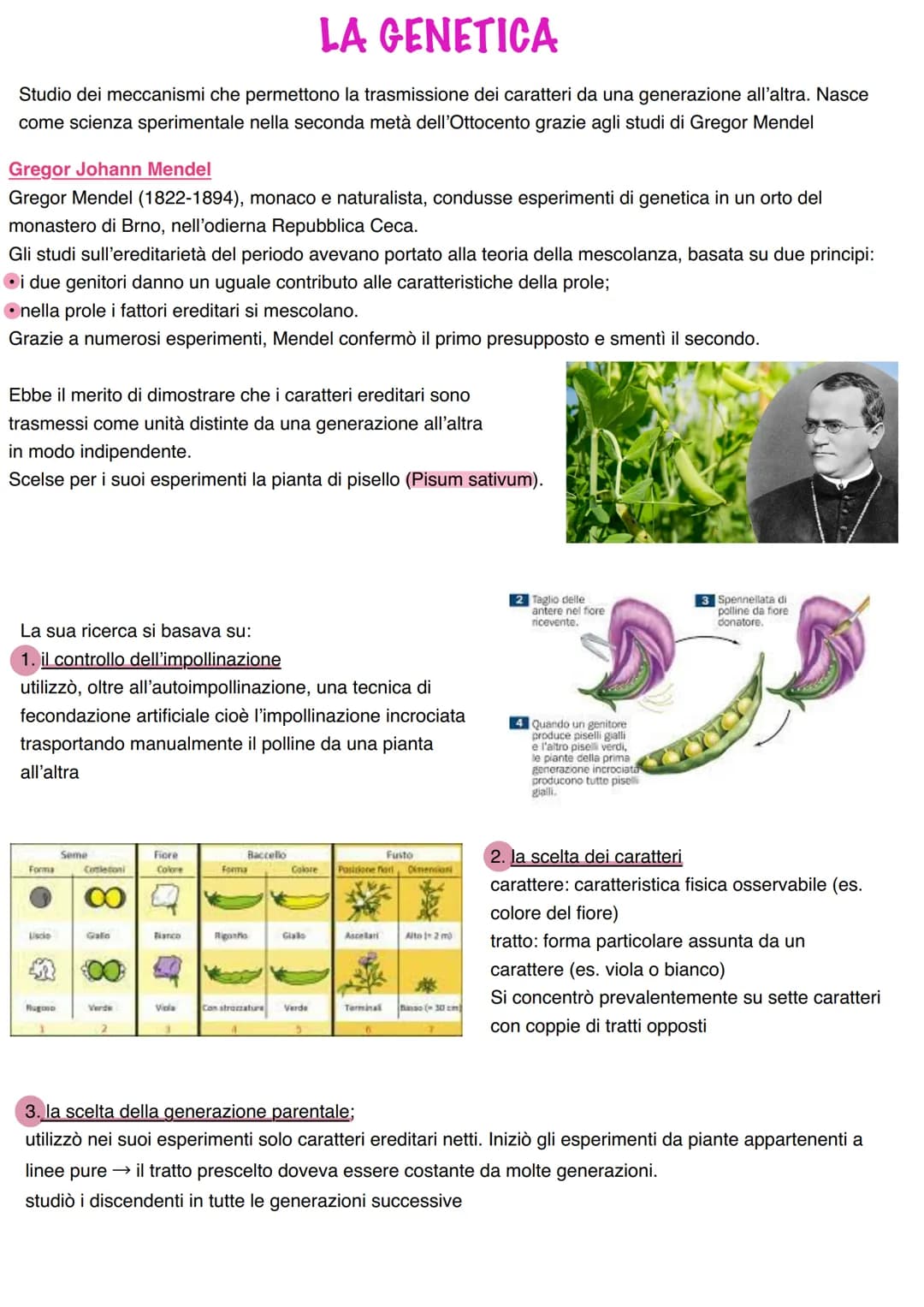 LA GENETICA
Studio dei meccanismi che permettono la trasmissione dei caratteri da una generazione all'altra. Nasce
come scienza sperimentale