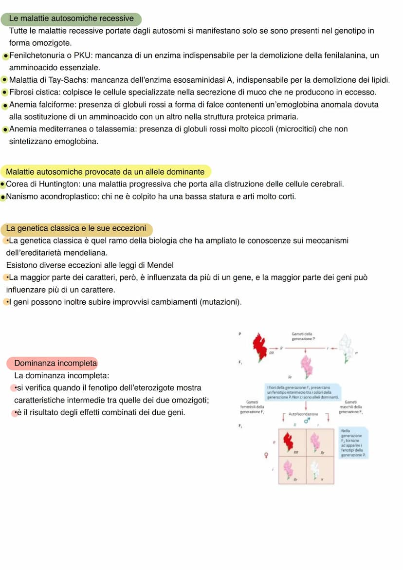 LA GENETICA
Studio dei meccanismi che permettono la trasmissione dei caratteri da una generazione all'altra. Nasce
come scienza sperimentale