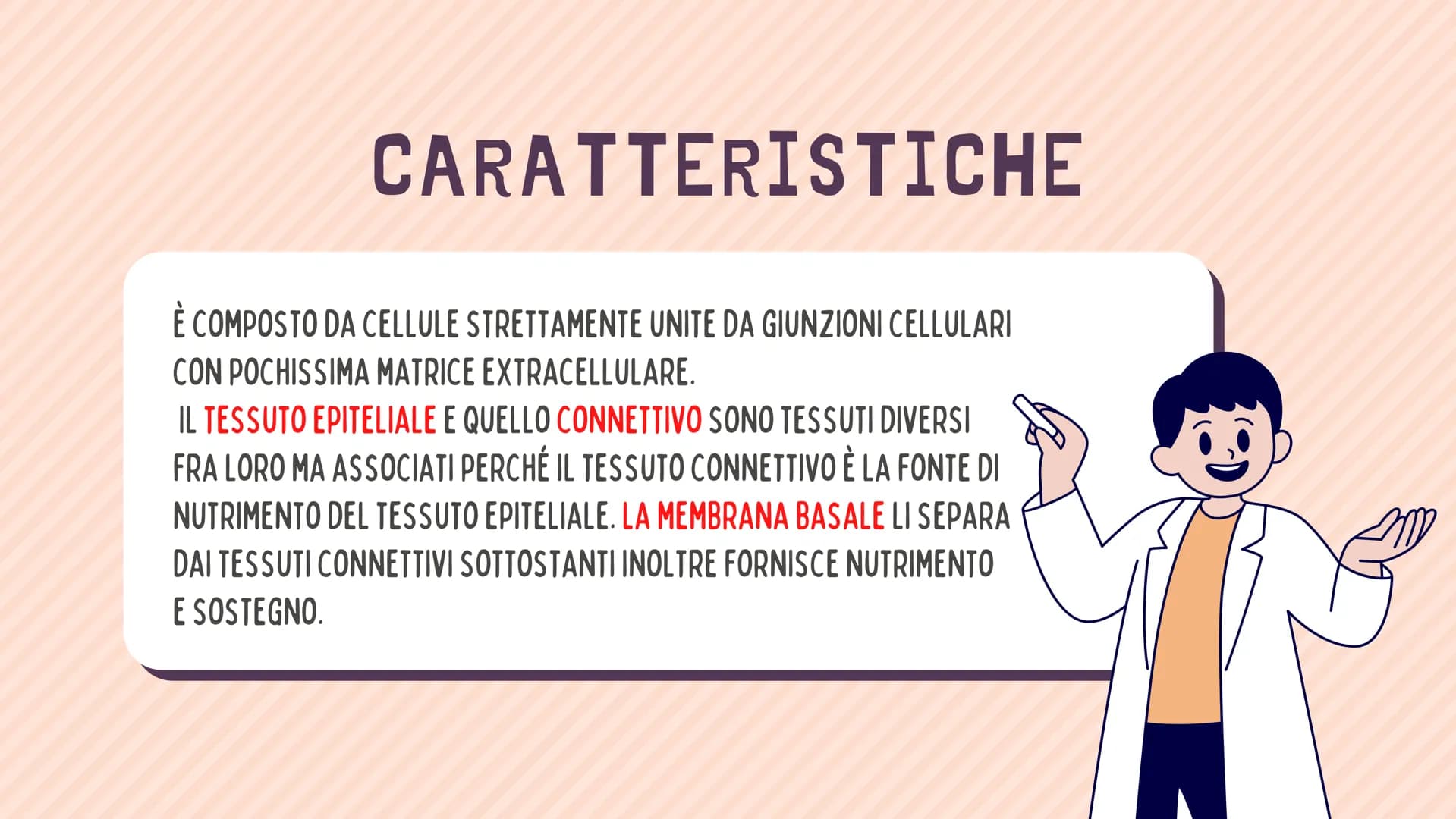 TESSUTO
EPITELIALE
OUT CHE COS'È?
IL TESSUTO EPITELIALE È UNO DEI QUATTRO TIPI FONDAMENTALI DI
TESSUTO CHE COMPONGONO IL NOSTRO CORPO E QUEL